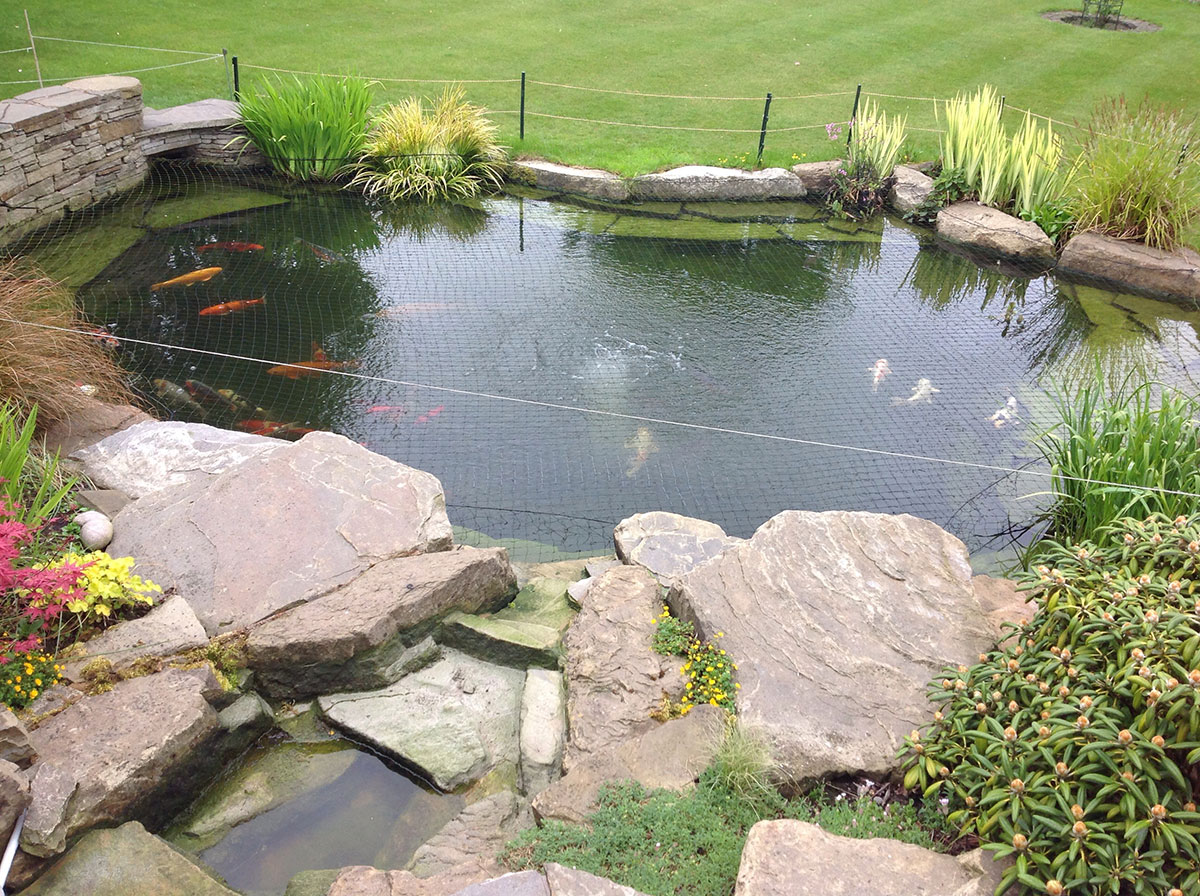 Mini digger hire in North London for pond excavation and groundworks