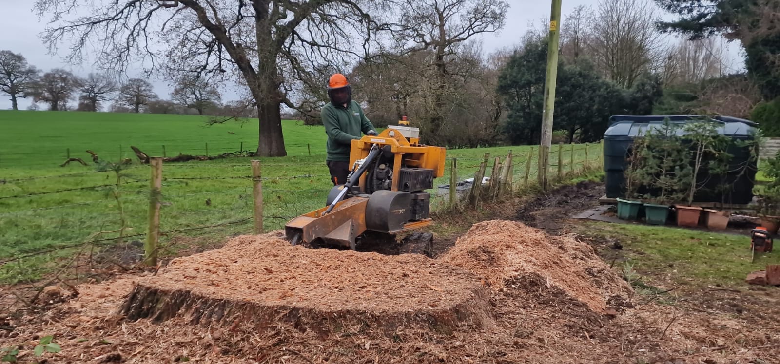Tree stump removal service in North London with stump grinder